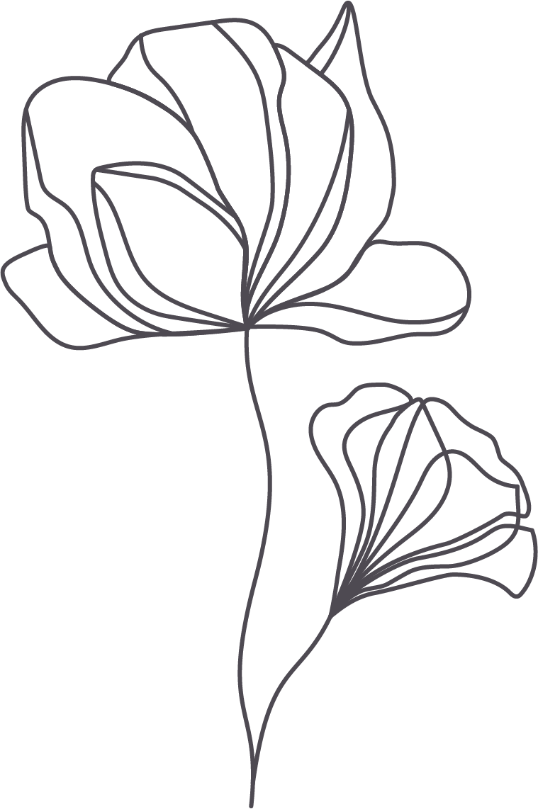 Image Alt Image Alt