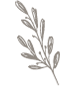 Bridal Flower Icon