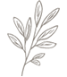 Bridal Flower Icon