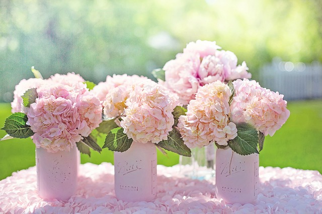 Bridal Wedding Website Design