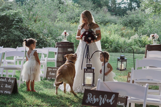 Bridal Web Design and Development Agency